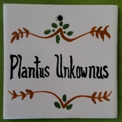 comic latin plantus